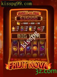 FruitNova: Tudo o Que Você Precisa Saber Sobre Este Jogo Verstátil